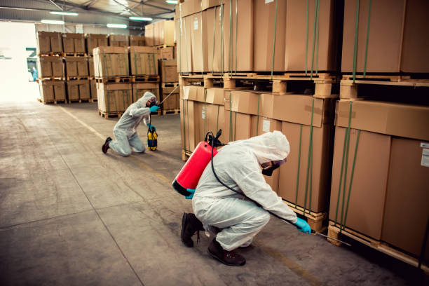 Best Pest Inspection Near Me  in Sayreville, NJ
