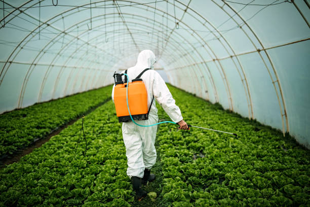 Best Pest Control Cost  in Sayreville, NJ