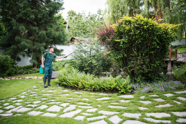 Best Wasp Removal Services  in Sayreville, NJ