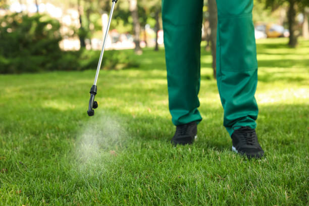 Best Mosquito Control Services  in Sayreville, NJ