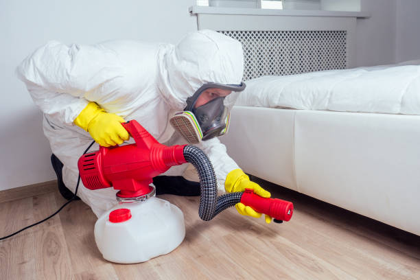 Pest Prevention Services in Sayreville, NJ