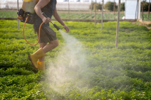 Best Local Pest Control Services  in Sayreville, NJ