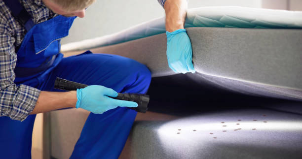 Flea Control Services in Sayreville, NJ