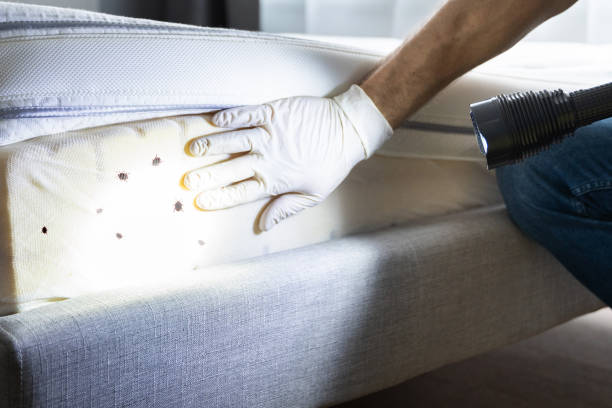 Best Best Pest Control Companies  in Sayreville, NJ
