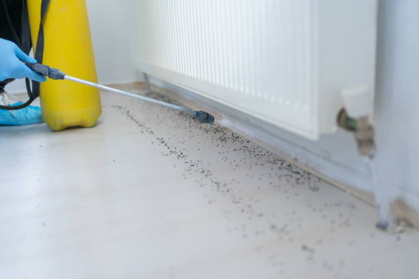 Best Spider Control Near Me  in Sayreville, NJ