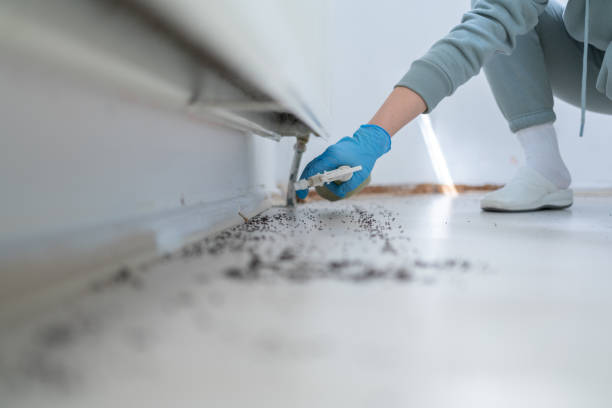 Best Residential Pest Control  in Sayreville, NJ