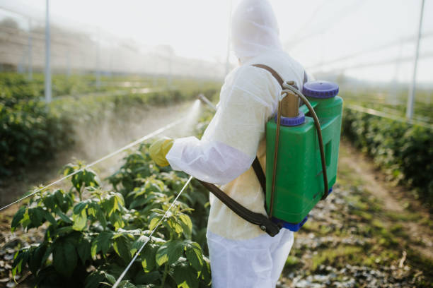Best Insect Control  in Sayreville, NJ
